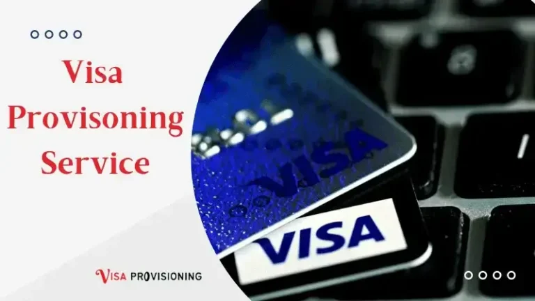 visa-provisioning-services